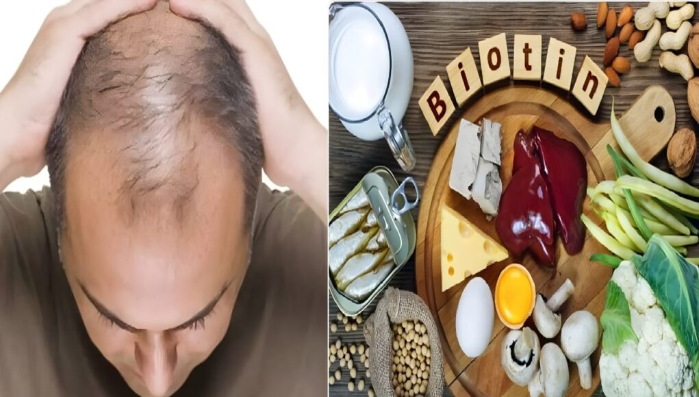 WhatsApp Image 2025-12-26 at 9.42.09 AM