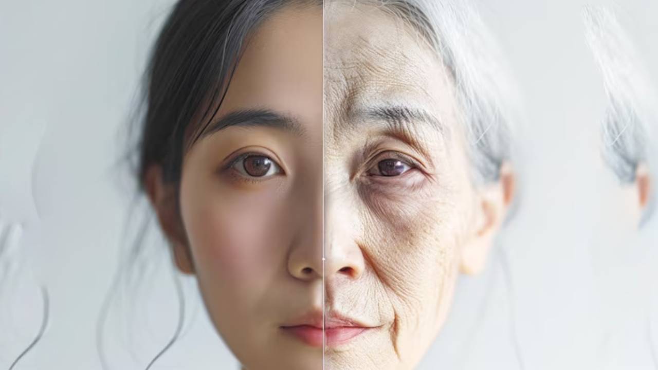 New Project - 2026-02-09T164711.394